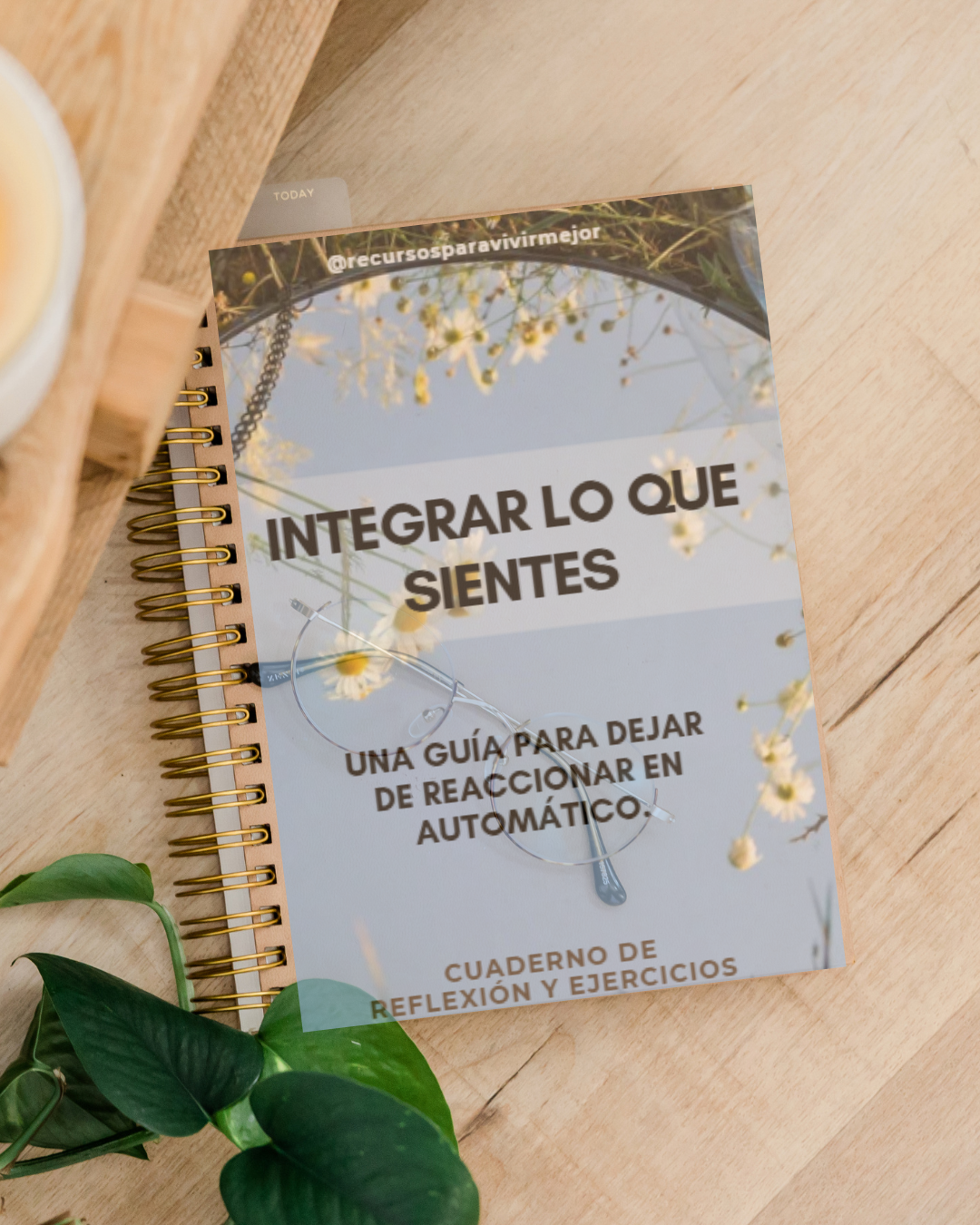 Integra lo que sientes.